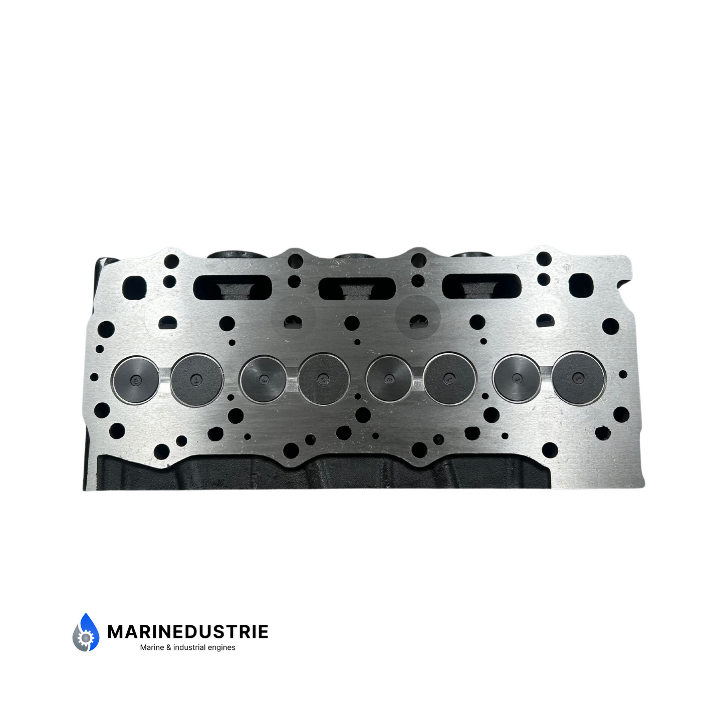 Cylinder Head Volvo Penta D2-55 Complete - 3809611