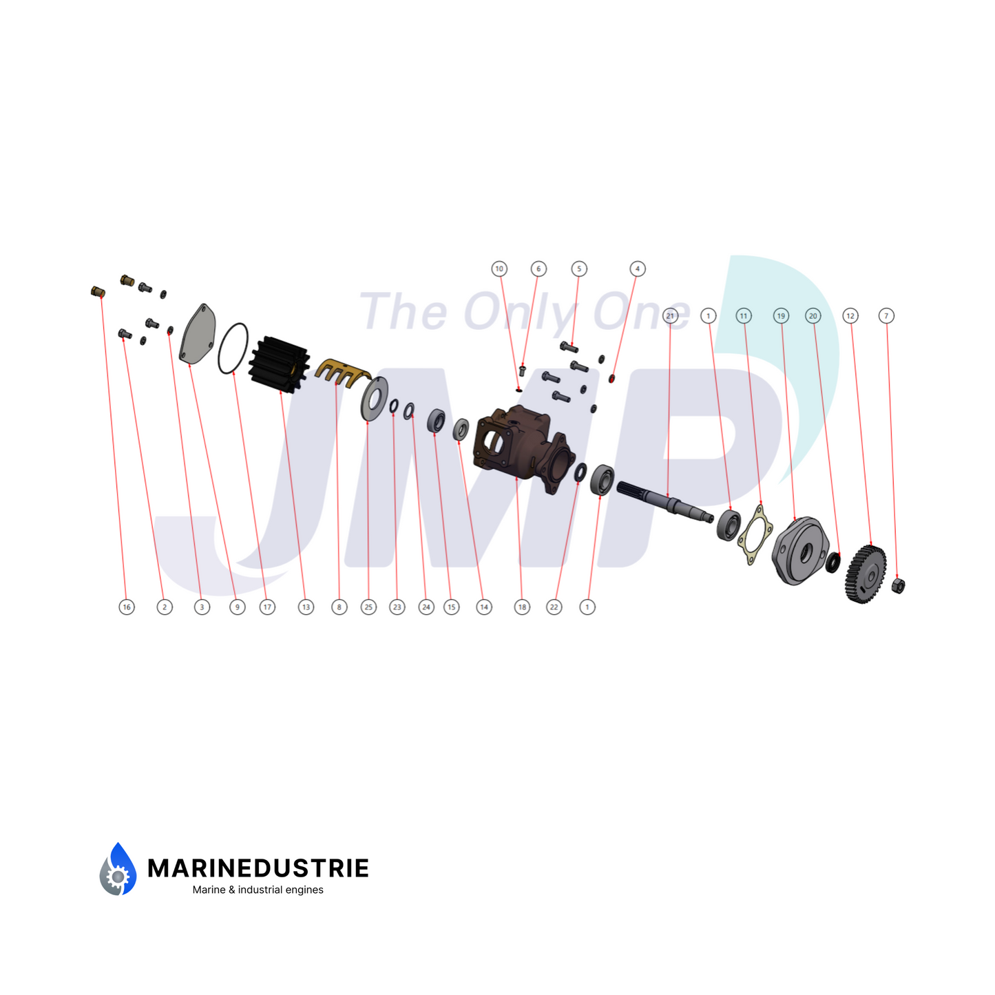 Impellerpomp Cummins 6B(T) 6C(T). - 3866493 - 3897691 - 3964765