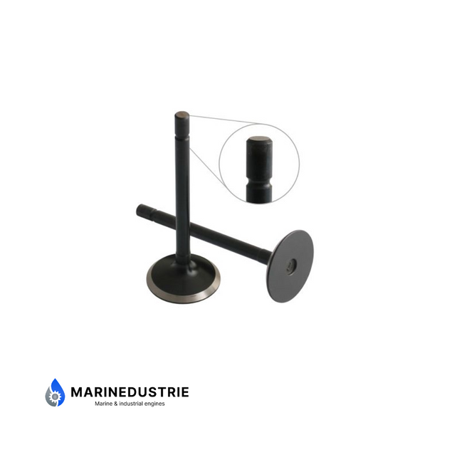 Perkins 104 403 404 Intake valve - 120166350 120166380 120166390