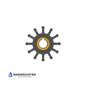 Impeller Volvo: 835874 Oberdorfer: 8922 Perkins: 900012