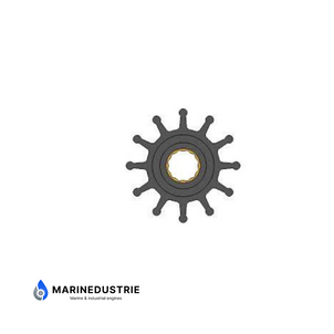 Impellerkit Volvo Penta AQD21A MD21A MD22 MD22A MD22L TMD22A - 875811