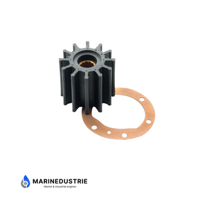 Vetus impeller D4.29 DT4.29 - STM8811