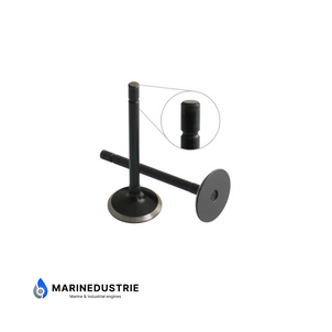 Perkins 104 403 404 Intake valve - 120166350 120166380 120166390