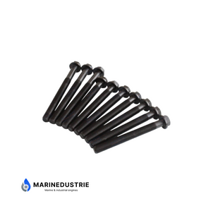Kopboutset Perkins 1104 - 3218A011 3218A012