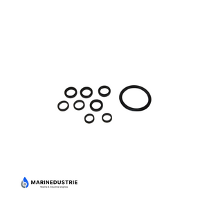 Cooling system sealing kit Volvo Penta 2001 2002 2003