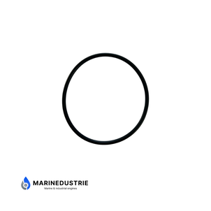 O-ring Volvo Penta D2, MD2030, MD2040 - 3580380