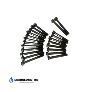 Perkins 1004.40 4.40 4.236 4.248 Kopboutset - U5MK0384