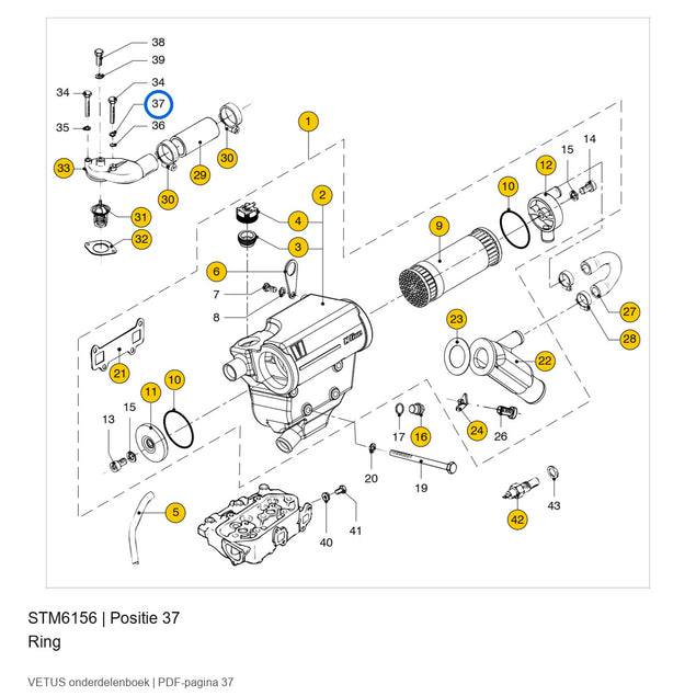 Ring - Vetus - STM6156
