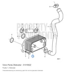 Volvo Penta oliekoeler 31319422, positie 1 in de onderdelentekening