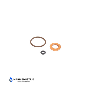 Verstuiver O-Ring kit Volvo Penta D3-110 - D3-220 - 31272771