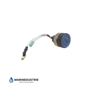 Yanmar GM-Serie startschakelaar - 124070-91300